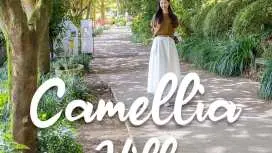 Jeju Camellia Hill Admission Ticket