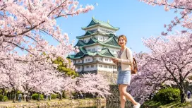 Wakayama Day Tour from Osaka: Wakayama, Kuroshio Market, Nara Kanga Park & Todaiji