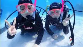 [이시가키섬/1일] 환상의 섬 상륙+산호와 바다거북 체험 다이빙 <사진 데이터 무료 증정>