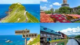 Hokkaido Shakotan Day Tour | Shiroi Koibito Park & ​​Otaru Canal & Shakotan Cape Kamui | Limited-time exploration of the island of Mui Coast or limited-time fruit picking in summer (depart from Sapporo)