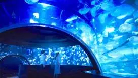 Kyoto Aquarium Admission Ticket | Japan