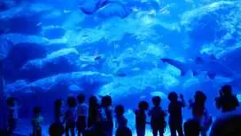 Sumida Aquarium Tickets in Tokyo, Japan
