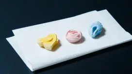 東京 和三盆のお干菓子作り体験 日本の伝統菓子の世界へようこそ 中国語/英語ガイドへアレンジ可能