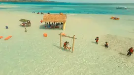 [Individual or small tour] Guam Bikini Island Dolphin & Turtle Watching Snorkeling