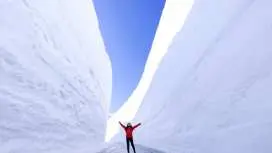 【 雪牆絕景・熱賣加開 】自選航空・桃園出發|名古屋 5 天&6 天 計劃機票・1人成行|自選超值方案&贈唐吉軻德優惠券