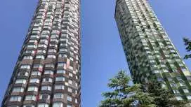 【全年可用】旭山動物園/美瑛/富良野/新雪谷/阿寒湖/知床/網走等私人客製化課程預約行程變更可商量(北海道)