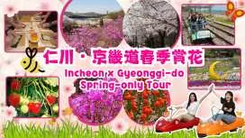仁川・京畿道春季限定團|賞花、採摘草莓體驗 、江華海邊度假村斜坡滑車、鐵路自行車、華蓋庭園、朝陽紡織、紫菜飯捲+韓服體驗