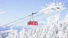 Kanto Nagano Juhyo Hot Spring 2-Day Tour: Kita-Yatsugatake Ropeway, Jigokudani Monkey Park Snow Monkey Bath, Old Karuizawa Ginza Street,  Suwa Taisha Shrine and Fresh All-you-can-eat Strawberry (Departing from Shinjuku, Tokyo)