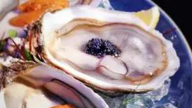 尖沙咀|Starò|梦幻星空/星空传情4道菜套餐|预订生日惊喜优惠|免费赠送即开海胆黑鱼子酱生蚝拼盘