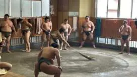 [Guaranteed Departure for 1 Traveler] Sumo Morning Practice Tour (Japan's Traditional National Sport) | Tokyo, Japan