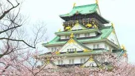 [Pick-up service] Kansai, Japan|Pick-up from Kansai Airport/Itami Airport to Osaka City/Kyoto City