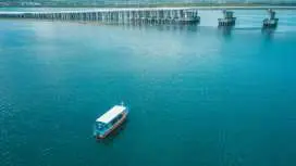 バリ島 グラスボトムで行くマングローブ&シュノーケリング by JTB (日本語ガイド)