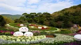 Taipei Yangmingshan one-day tour [8HR/10HR car | One car, one guide, private customization] Geothermal Valley + Beitou Library + Qingtiangang + Xiaoyoukeng | Departing from Taipei/New Taipei