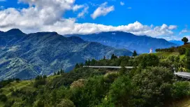 6-day private charter car tour around the island | Taipei + Sun Moon Lake + Cingjing + Jiufen + Shifen Old Street [10HR per car/one guide per car | {Taiwan West Route}] Cingjing Farm + Sun Moon Lake + Taipei Forbidden City + Shifen Old Street + Jiufen |Group of one person|Private customized private charter car|Departure from Taipei/New Taipei