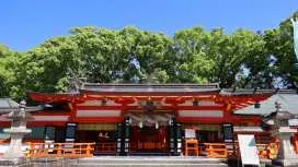 和歌山日帰りツアー|世界遺産・熊野三山詣&那智の滝、3つの特別御朱印付き|JR特急「くろしお」利用(大阪出発)