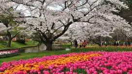 はままつフラワーパークと浜名湖をローカルバスで巡る1日プライベートツアー