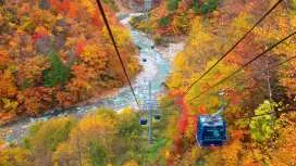 Niigata 2-Day Tour | Naeba Dragon Dora & Okutadami Lake Sightseeing Boat & Hakkaisan Ropeway & Tashiro Ropeway & Enjoy the Autumn Leaves from 4 Vehicles Echigo Autumn Leaves Story (Departing from Tokyo)