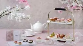 尖沙咀|香港喜来登酒店|视佳廊 Sky Lounge|樱花春日下午茶|酒店下午茶优惠2026