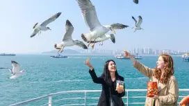 Incheon Day Tour from Seoul: INSPIRE Entertainment Resort, Coastal Railway Bike, Seagull Feeding at Sea, Songwol-dong Fairy Tale Village, Sky Mirror, Glass Museum  | South Korea