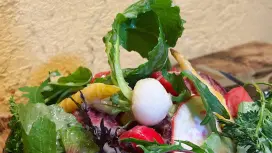 Tokyo Wakabayashi-Kamimachi (Setagaya Line) | Game cuisine French BISTRO SAUVAGE(French BISTRO SAUVAGE)| Seat Reservation Only