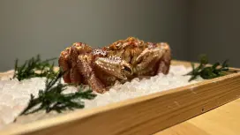 Okinawa Prefecture Naha City Other | Echizen(越前)| Seat Reservation Only