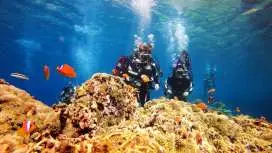 蘭嶼免證照一對一體驗潛水|免費攝影|多人優惠