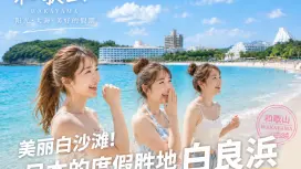 [Wakayama Day Tour] Koyasan, Senjojiki, Shirahama Beach, ToreTore Market (Depart from Osaka)