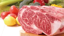 โอดาวาระ จังหวัดคานากาว่า |. ร้านอาหารเกาหลี Anraku tei(安楽亭 大井松田店) |