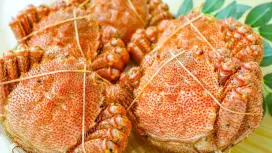 Hokkaido Tomakomai/Shiraoi |. ซีฟู้ด Kani Ou(かに王)|. เฉพาะจองที่นั่งเท่านั้น
