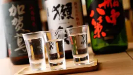埼玉縣戶田/蕨類植物 | 海鮮居酒屋水頓(Izakaya Suiton)|僅座位預定