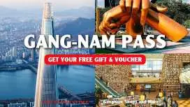 Gangnam pass - Free gift and Special Vouchers & VS Line Clinic Discount Benefit