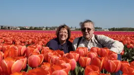 Keukenhof Tulips Biking Tour|Netherlands