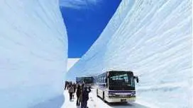 立山黑部1晚2天巴士之旅|搭乘6輛車穿越立山黑部阿爾卑斯山脈路線