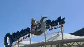 [Hong Kong Attractions Shuttle Service] Ocean Park Private charter car Shuttle Service