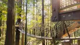 Vancouver Day Tour | Canada
