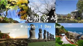 [Du thuyền một ngày] Tour một ngày ở Miyazaki, Nhật Bản | MSC Bellissima | Hướng dẫn viên du lịch Trung Quốc