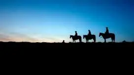 Otohime Starlight Trekking Day Trip Nature Experience Tour (Aso City, Kumamoto Prefecture)