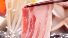 Odaiba, Tokyo | Shabu-shabu Haibana(南風花 アクアシティお台場店)| Seat Reservation Only