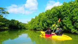 【石垣岛套餐】宫良川红树林(立桨冲浪或独木舟)+ 蓝洞浮潜 | 含南部地区酒店接送及免费照片