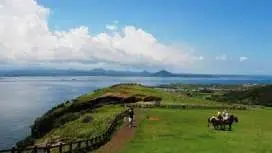 済州島観光ツアー|牛島(ウド)&世界自然遺産巡り 城山日出峰+万丈窟|日本語ガイド・済州市ホテル送迎・昼食付き