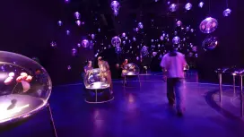 探索樂園門票 | 新加坡萬代野生動物保護區