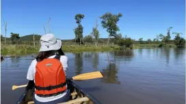【北海道・釧路湿原】釧路湿原カヌートリップ(塘路元村キャンプ場〜細岡カヌーポート 約10km)