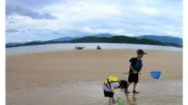 【糸島 シーカヤック×干潟観察】カヤックで行く!干潟遊びツアー!お子様と一緒に楽しめます♪~ファミリーにオススメ~