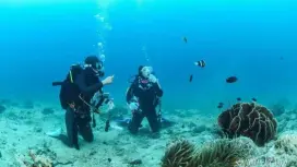 《Meeting on-site》【Kyushu Kagoshima Minamisatsuma 2 Beach Fun Diving】<License holders>