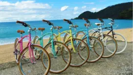 [Kagoshima, Amami Oshima, Cycling] Enjoy the dynamic scenery! Miyakozaki Bike Tour ♪