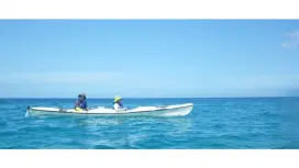 [鹿儿岛/屋久岛]去看海龟吧!海上皮划艇体验