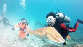 【福岡】ファンダイビング〈2ダイブ〉【海まで往復送迎付き!】