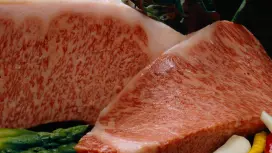 東京銀座| 壽喜燒飛驒牛一刀屋馬九郎一代(飛驒牛一刀屋馬九郎一代銀座店)僅座位預訂