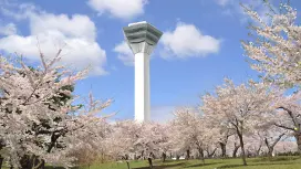 【日本旅遊】北海道好星情~小樽函館山、洞爺湖花火船、雙鐵道體驗、三大蟹三溫泉五日