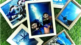 早い者勝ち!!️春到来キャンペーン!!️初心者参加率95%【貸切•青の洞窟体験ダイビング】写真動画取り放題付き/追加料金なし/当日予約OK